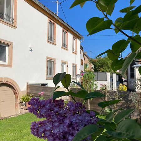 Gite Le 1602 Saint-Nabor Eksteriør bilde