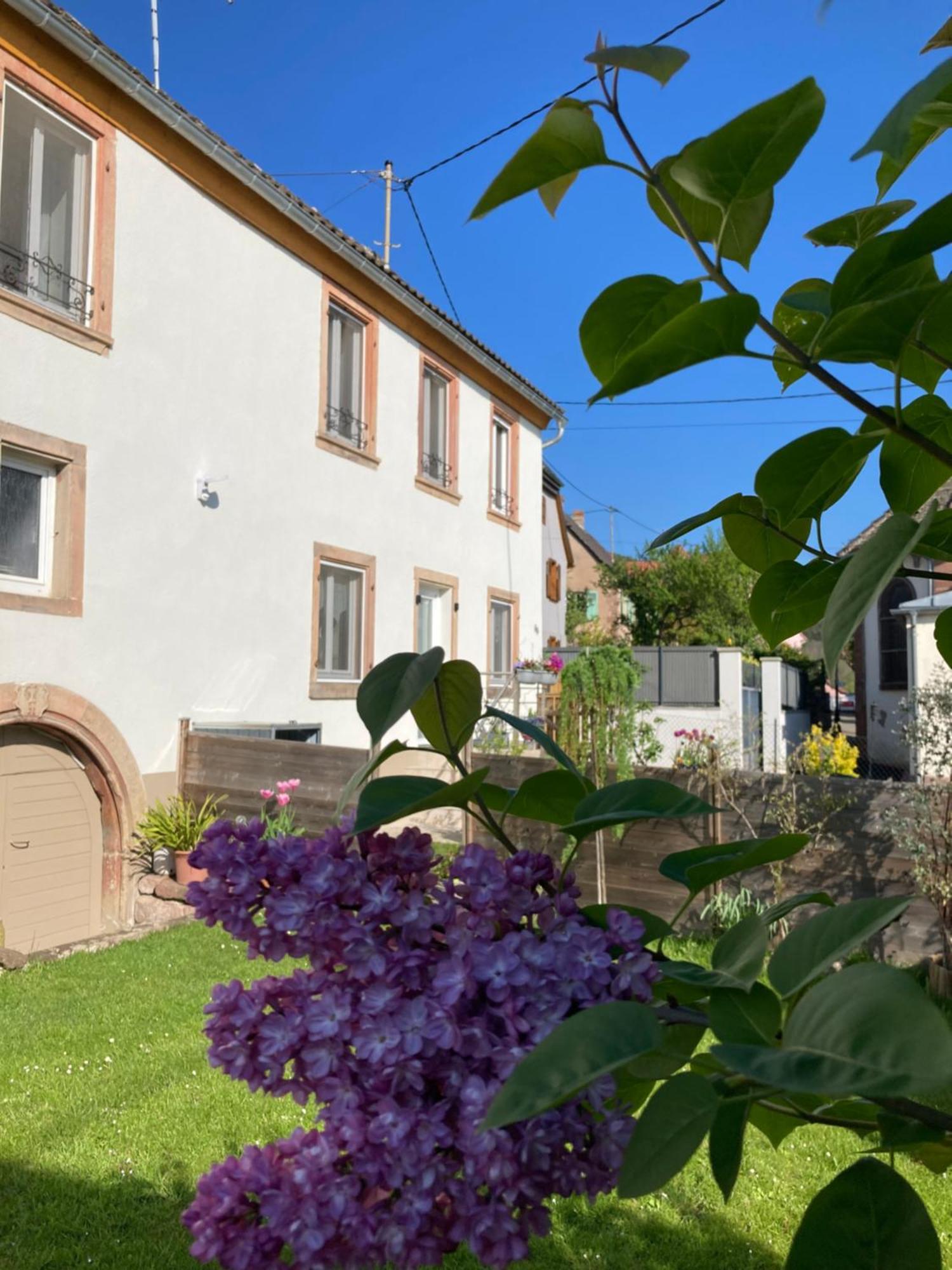Gite Le 1602 Saint-Nabor Eksteriør bilde