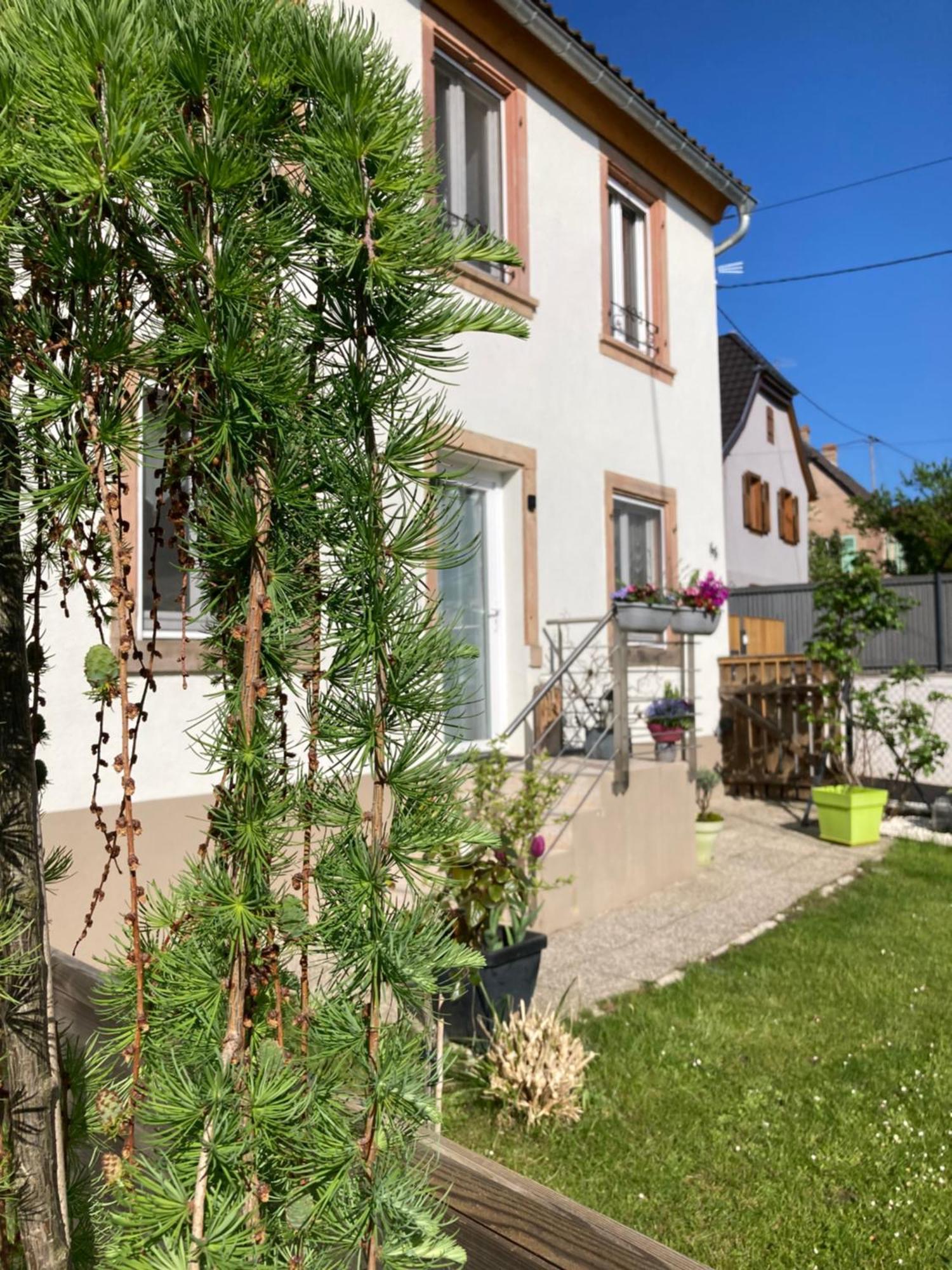 Gite Le 1602 Saint-Nabor Eksteriør bilde